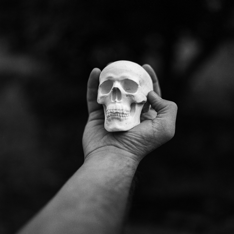 healthcare and medicine, unrecognizable person, adult, hand, human limb, human hand, human body part, skull, lifestyles, people, personal perspective, monochrome
