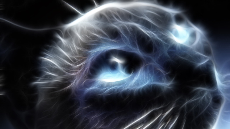 form, swirl, burning, indoors, texture, animals, nature, smoke - physical structure, science, motion, anatomy, transparent, cloud, ache, space, heat - temperature
