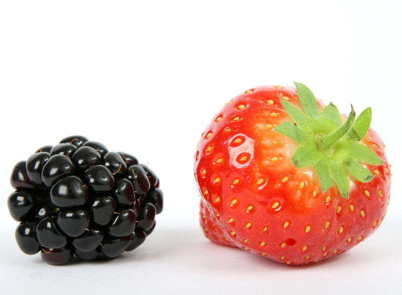 home, fruit, dessert, colour, wellbeing, food and drink, food, strawberry, gourmet, white background, blueberry, good, life, delicious, nature, berry, lunch
