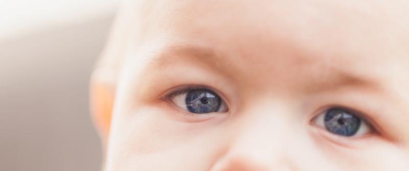 two eyes, close up, 5K, boys, s, indoors, small, eye, looking at camera, cute, human Eye, eyesight, photo, looking, childhood, innocence, human body part