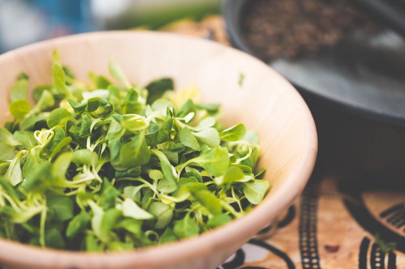 high angle view, fresh, no people, plant, healthy, Bowl, food And Drink, plant part, healthy Eating, nature, herb, wellbeing, vegetarian Food, green Color