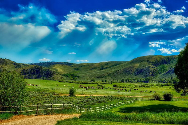 mountain, america, day, 4K, green color, tranquil scene, non-urban scene, farm, wyoming, tranquility, hdr, plant, ranch, field, beauty in nature, rural scene