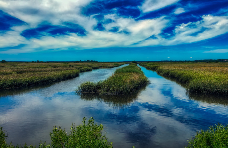 land, tranquility, rural, day, mood, sunset, marsh, country, non-urban scene, nature, plant, clouds, reflection, grass, no people, green color, dusk, reeds