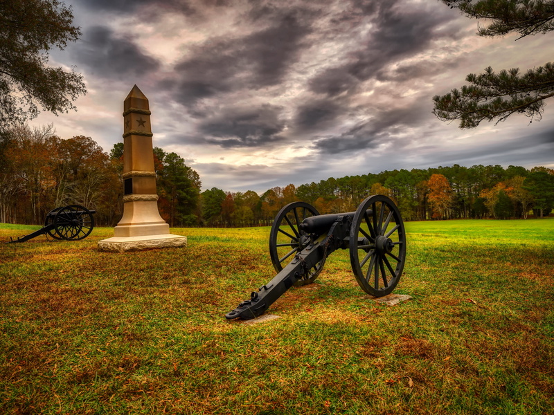 trees, fall, historic, built structure, tree, america, scenic, land, cannon, woods, outdoors, environment, mood, sky, military, tranquility, monument, georgia