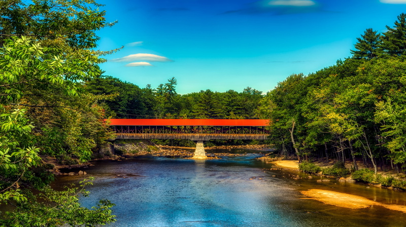 rural, beauty in nature, woods, growth, water, forest, america, day, panorama, scenics - nature, outdoors, plant, architecture, saco river, tree, trees