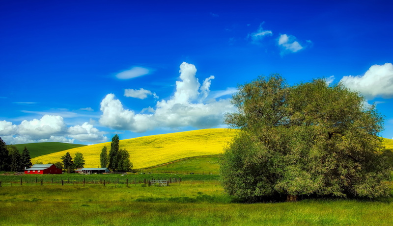 cloud - sky, 4K, country, farm, clouds, grass, sky, idaho, outdoors, plant, trees, non-urban scene, day, landscape, barn, countryside, beautiful, scenics - nature