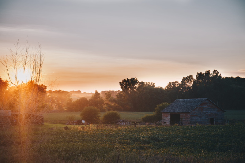 farm, built structure, tree, rustic, environment, tranquility, america, crops, no people, united states, scenics - nature, sunset, sky, american, outdoors