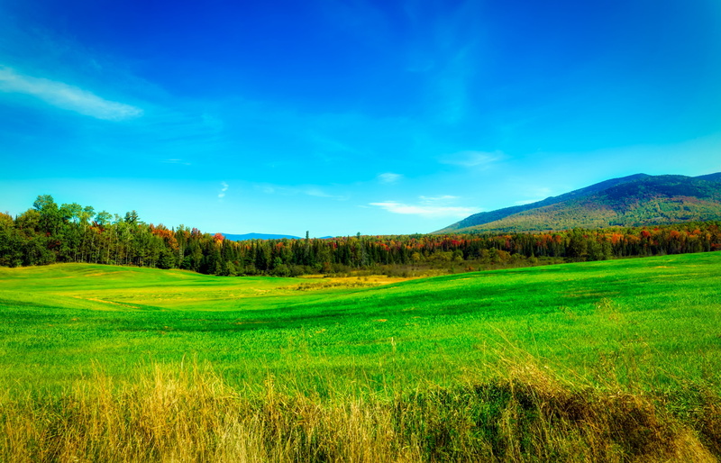 meadow, cloud - sky, farm, nature, new england, scenics - nature, new hampshire, country, rural scene, america, land, non-urban scene, 4K, blue, tree