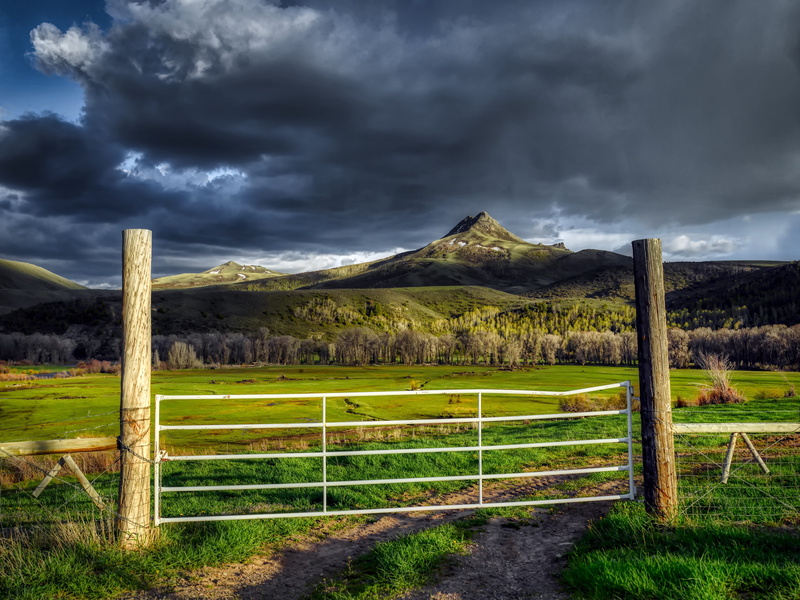 grass, rural, landscape, colorado, mountain, gate, environment, plant, trees, cloud - sky, farm, no people, 4K, barrier, sky, clouds, country, woods, outdoors