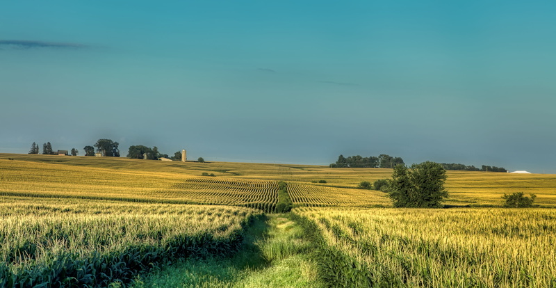 field, cornfield, silo, tranquility, summer, 4K, landscape, agriculture, sky, nature, farm, panorama, growth, land, no people, beautiful, environment
