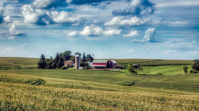 field, america, 4K, rural scene, corn, no people, nature, country, sky, cloud - sky, scenics - nature, trees, rural, outdoors, land, plant, agriculture