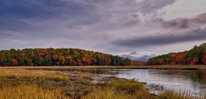 plant, reflection, tranquil scene, mountain, lake, beauty in nature, scenics - nature, tranquility, hills, forest, marsh, vermont, new england, nature