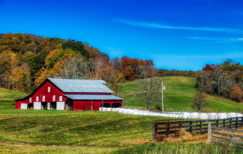 no people, nature, hills, barn, meadow, country, scenics - nature, autumn, day, mood, fall, outdoors, rural scene, woods, barrier, boundary, panorama, forest