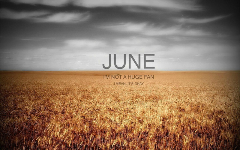 nature, June, text, message, plant, cloud - sky, day, digital art, sign, no people, horizon, photography, wheat, agriculture, field, typography, quote