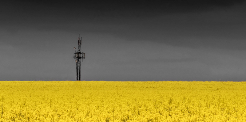 agriculture, yellow, field, sky, tranquility, crop, outdoors, technology, nature, no people, landscape, oilseed rape, global communications, rural scene