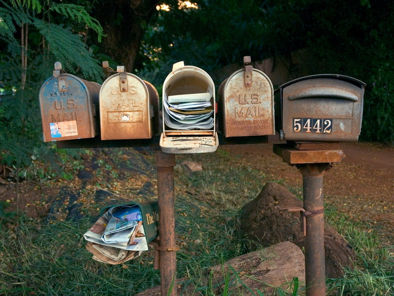 tree, wooden, nature, old, outdoors, container, wood - material, communication, postbox, text, public mailbox, rustic, letter, wood, plant, mail, correspondence