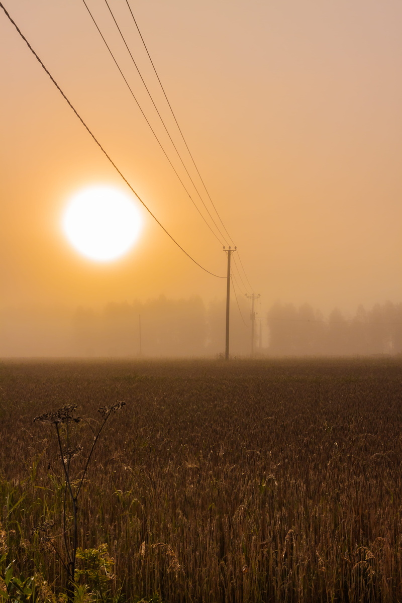 bright, communication, tranquility, scenery, finland, sunrise, farming, 4K, power line, electricity pylon, rural scene, scandinavia, landscape, environment