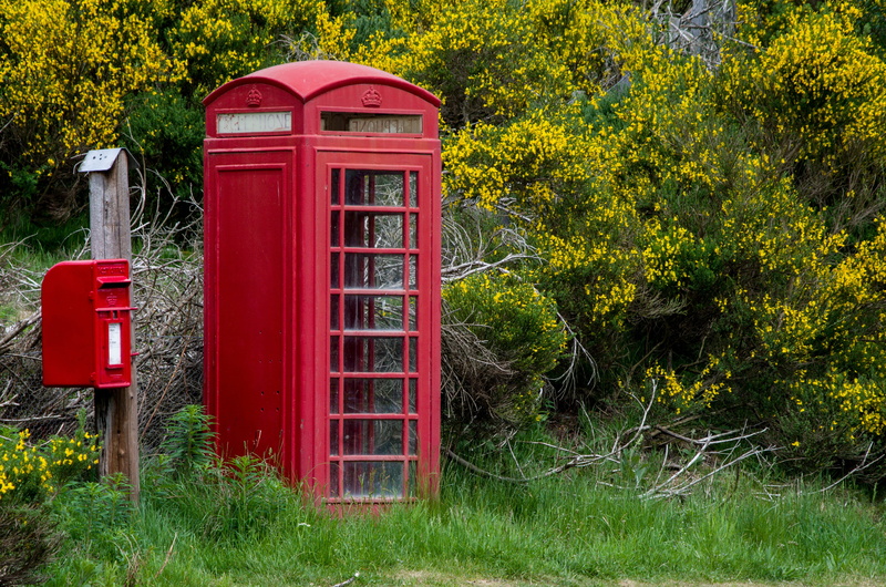 building exterior, connection, balmoral, london - England, telephone, old, tree, global communications, convenience, scotland, lonely, pay Phone, 4K, aberdeenshire
