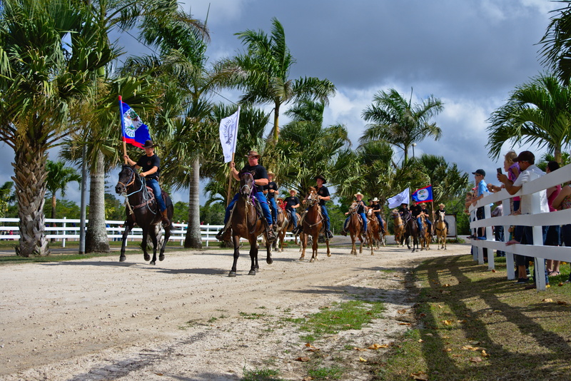 mammal, domestic, spanish lookout, rural, vertebrate, livestock, summer, 5K, day, tree, group of people, riding, parade, outdoors, riders, domestic animals