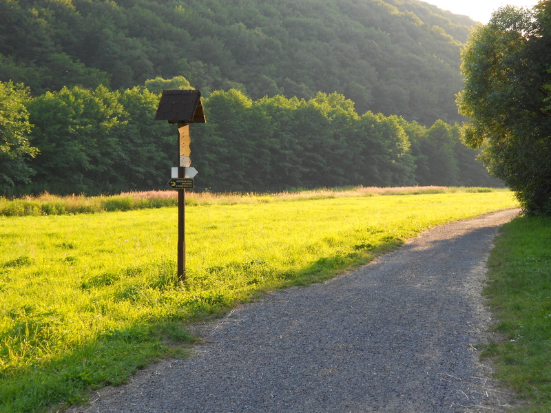 scenics - nature, rural Scene, trees, day, guidance, european Alps, beauty In Nature, sunlight, no People, landscape, travel, field, europe, 4K, non-Urban Scene
