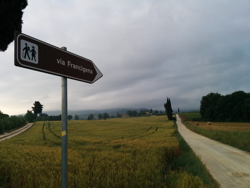 plant, road, outdoors, path, information, 2K, tree, grass, environment, transportation, road sign, cloud - sky, field, landscape, nature, sign, beauty in nature