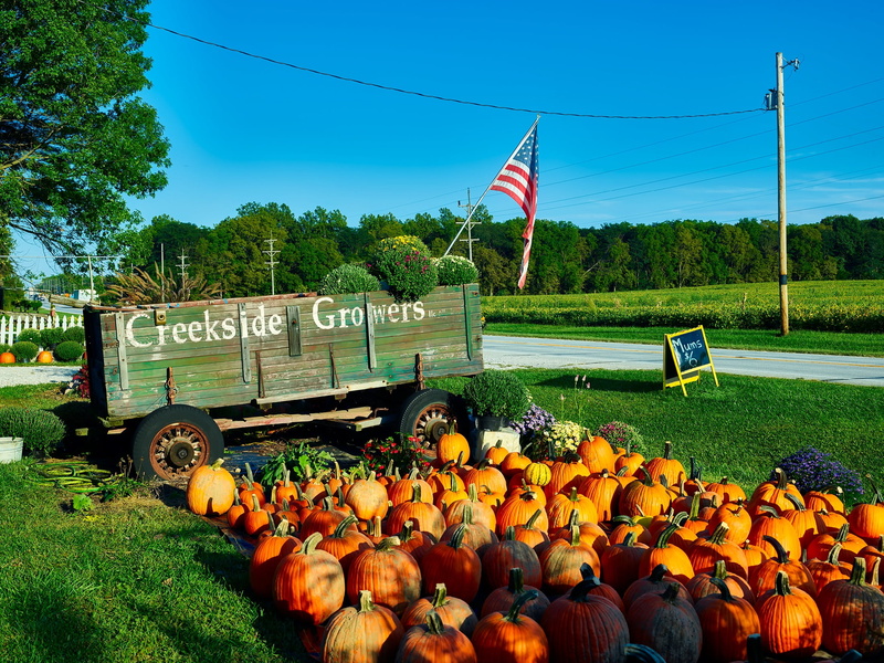 hdr, nature, tree, day, plant, farm, 1080P, countryside, flag, country, landscape, wagon, food, roadside, market, fall, pumpkins, autumn, rural scene