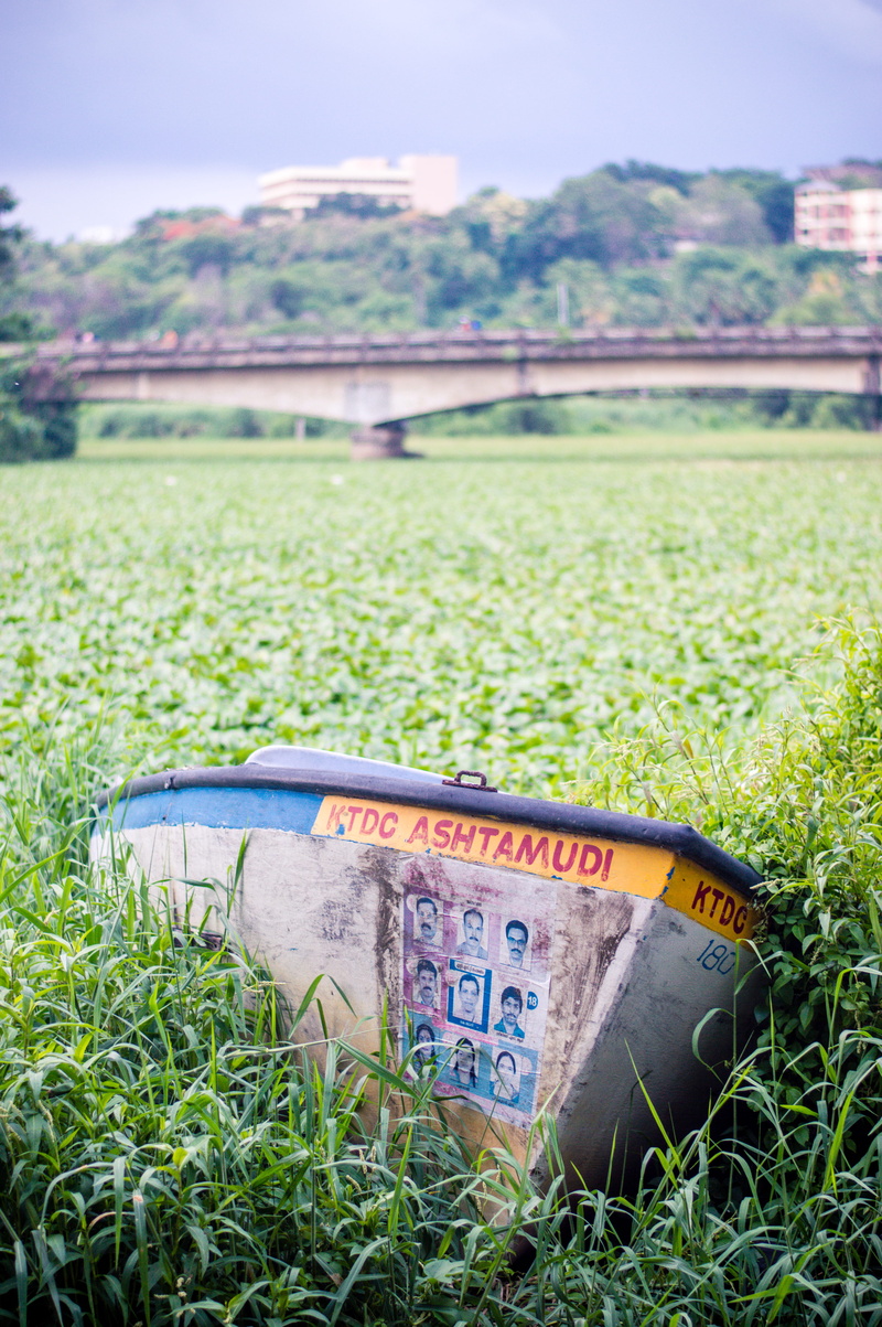 lake, thiruvananthapuram, text, no people, veli, day, plant, india, rural scene, park, green, sky, crop, grass, trivandrum, farm, veli lake and tourist village