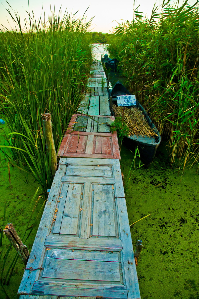 green, daytime, door, landscape, no people, outdoors, path, grass, boat, communication, bridge, farm, peild, day, agriculture, tranquility, close-up, land
