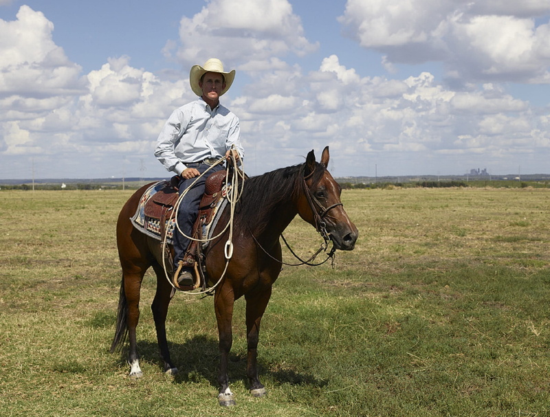 animal wildlife, ranch, horseback riding, outdoors, quarter horse, vertebrate, venus, cowboy hat, day, country, animal themes, pets, 1080P, domestic, mammal