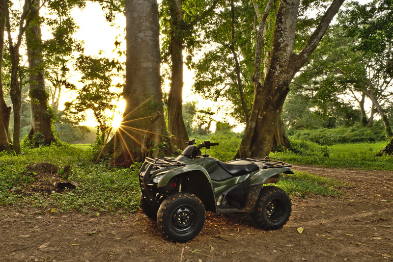 trx420, 4x4, transportation, 5K, no people, sport, recreation, non-urban scene, atv, rancher, wheel, land, woods, vehicle, terrain, belize, fun, tree