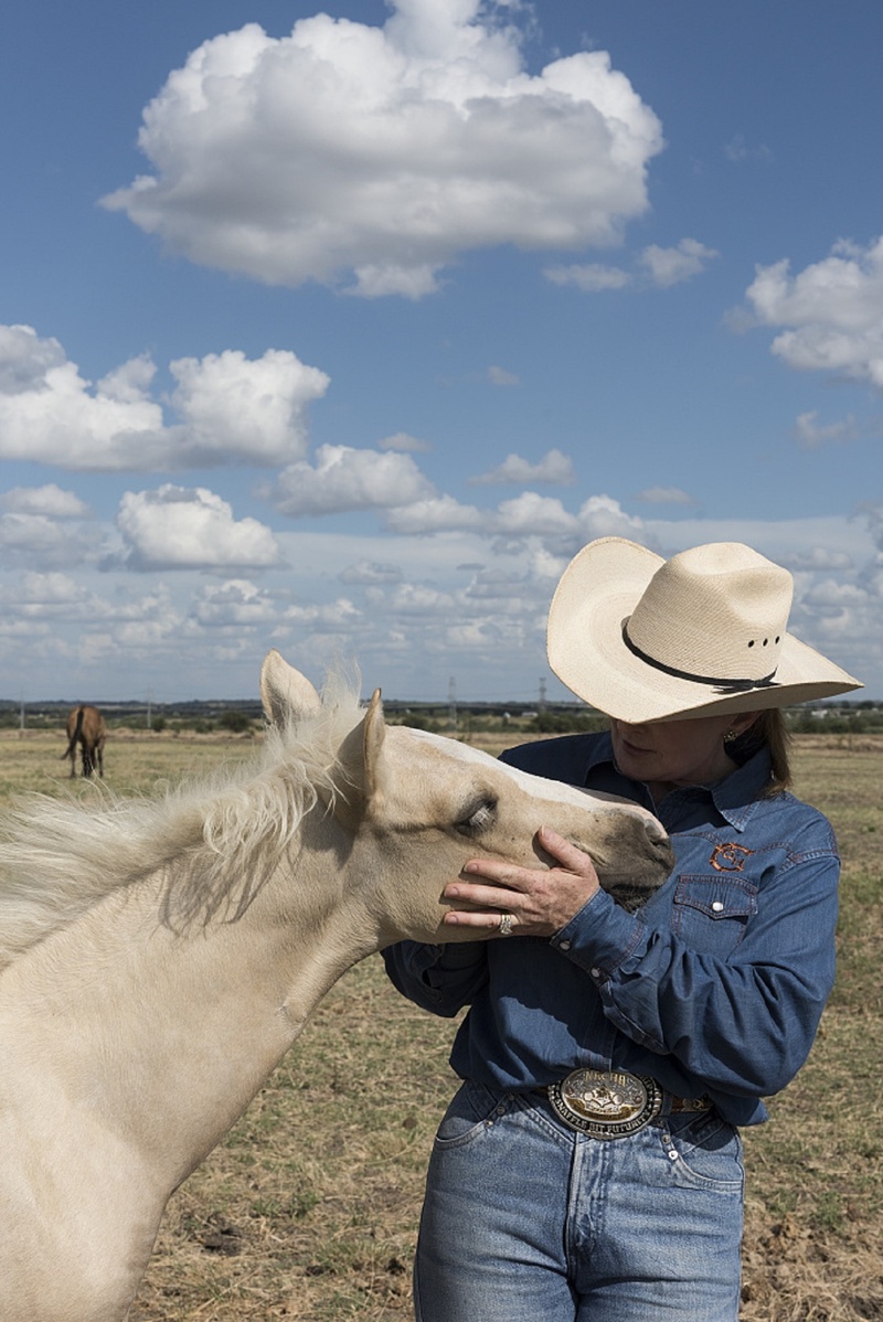 leisure activity, one person, usa, venus, hat, animal, domestic animals, casual clothing, mammal, real people, cowboy hat, 1080P, ranch, animal wildlife