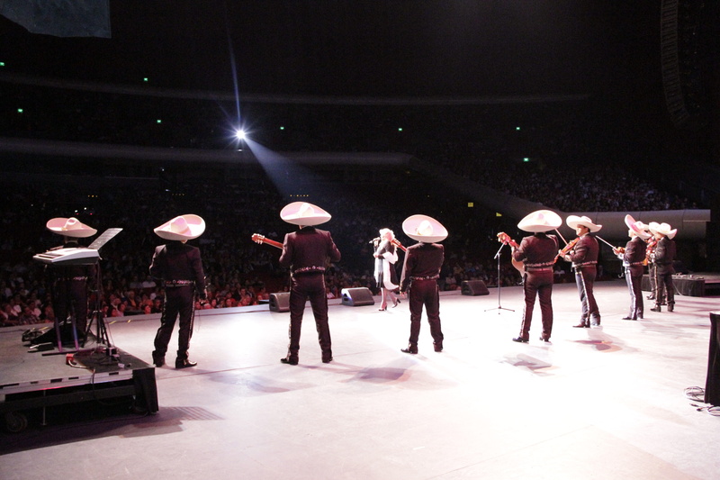 arts culture and entertainment, adult, illuminated, crowd, performance, regional mexican, leisure activity, art, City, night, walking, auditorium, stage light