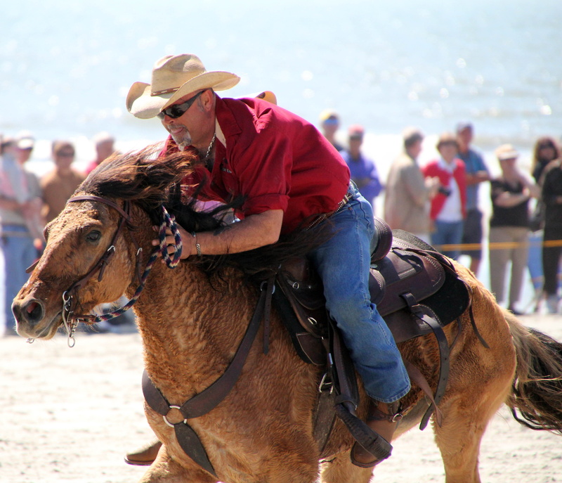vertebrate, rancher, man, western, Cowboy, domestic, cowboy hat, incidental people, mammal, ride, west, day, animal themes, rider, land, leisure activity