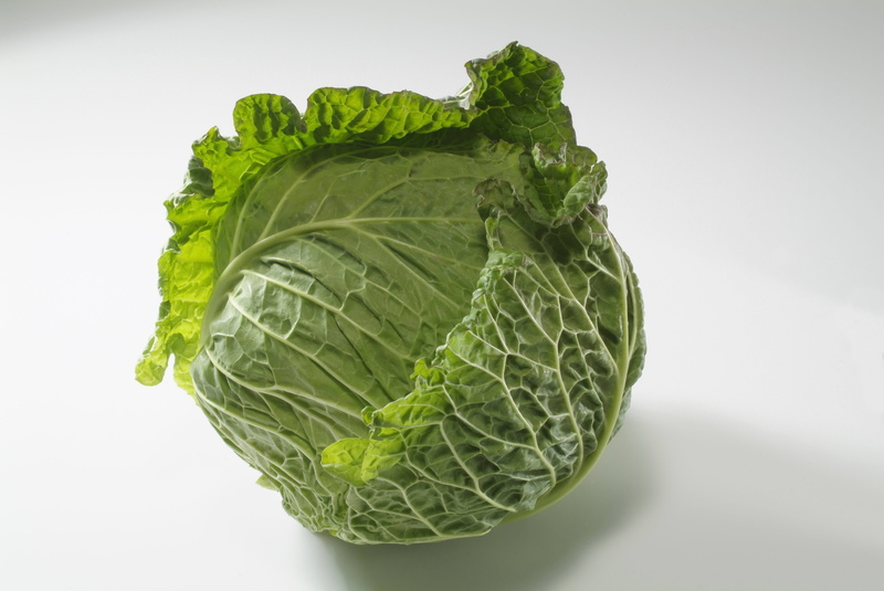 ingredient, food, vegetable, organic, green Color, healthy Eating, plant part, close-up, freshness, no People, white background, cabbage, lettuce, food And Drink