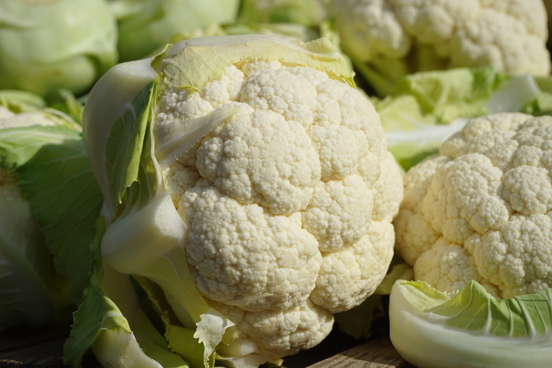 flower sprouts, flowering cabbage, food, food and drink, indoors, organic, cheese cabbage, brassica oleracea var, minaret cabbage, breeding strain, market