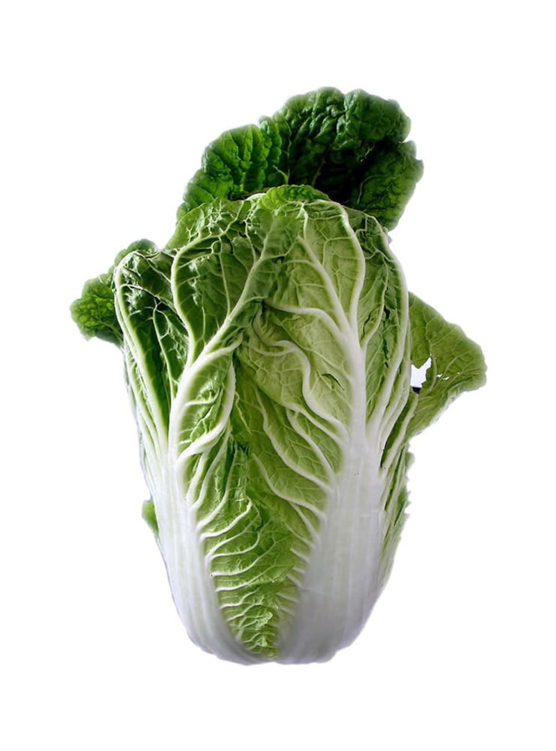 white background, 480P, cut out, edible, freshness, plant part, eat, organic, vitamins, still life, dieting, leaf lettuce, studio shot, indoors, food