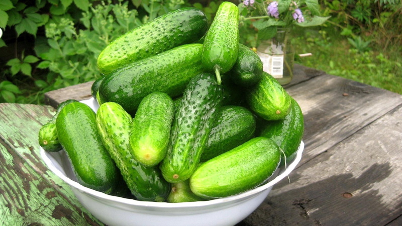 cucumbers, 1920x1080, green, 1080P, photography, cucumber