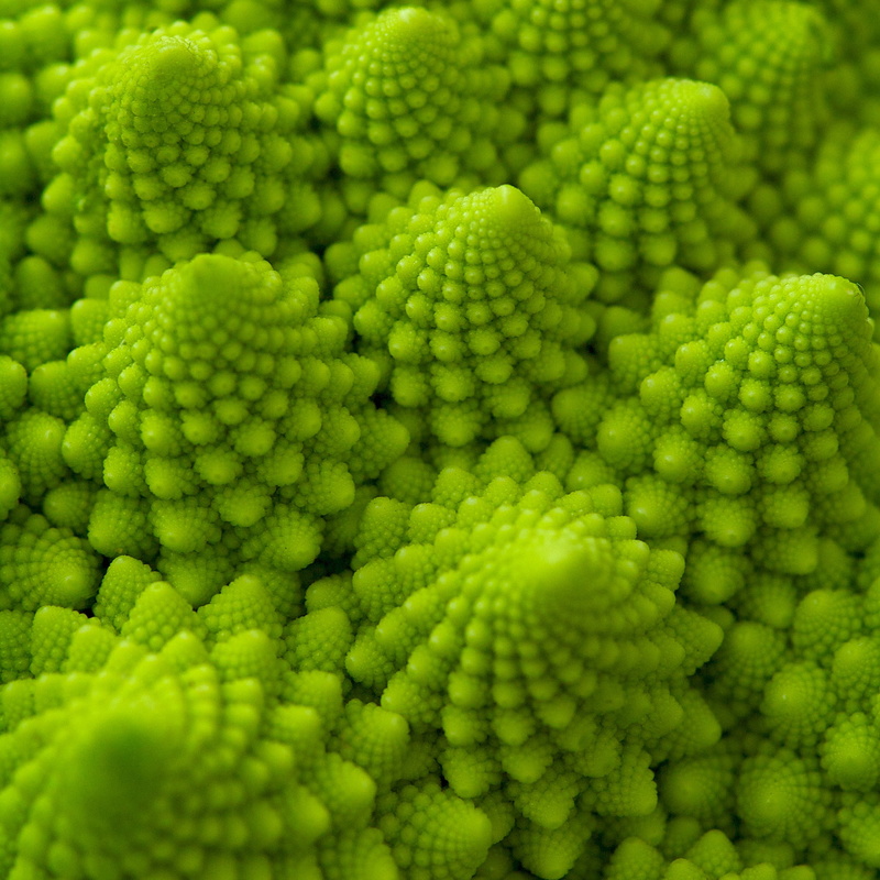 Fibonacci number, green, green pine, Fractal, shape, lord, backgrounds, decor, macro, 1080P, close-up, freshness, romanesco broccoli, logarithmic spiral