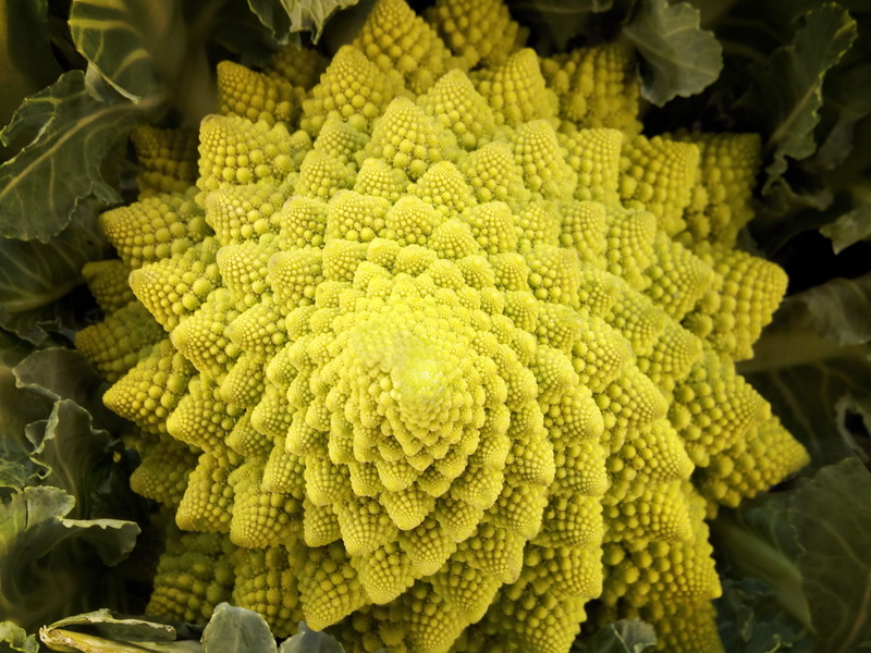 outdoors, flowering plant, abstract, green, flower, market, plant, day, freshness, romanesco, food and drink, photography, broccoli, high angle view, fractal
