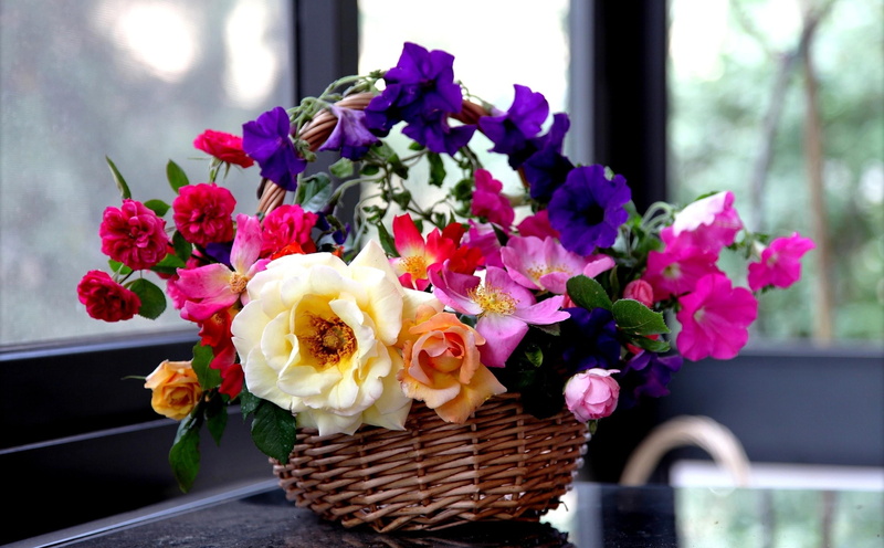 orchid, petal, white, outdoors, softness, arrangement, leaf, nature, orange, inflorescence, vase, indoors, romance, basket, flower, pink, roses, garden