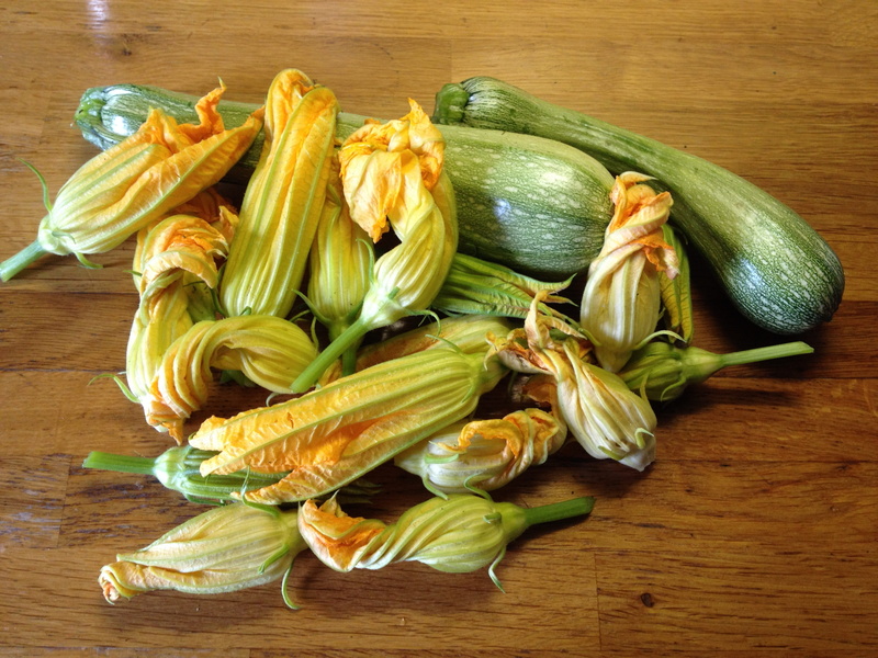 freshness, food, indoors, wood grain, close-up, raw food, zucchini, vegetables, food and drink, directly above, wood - material, still life, zucchini flowers
