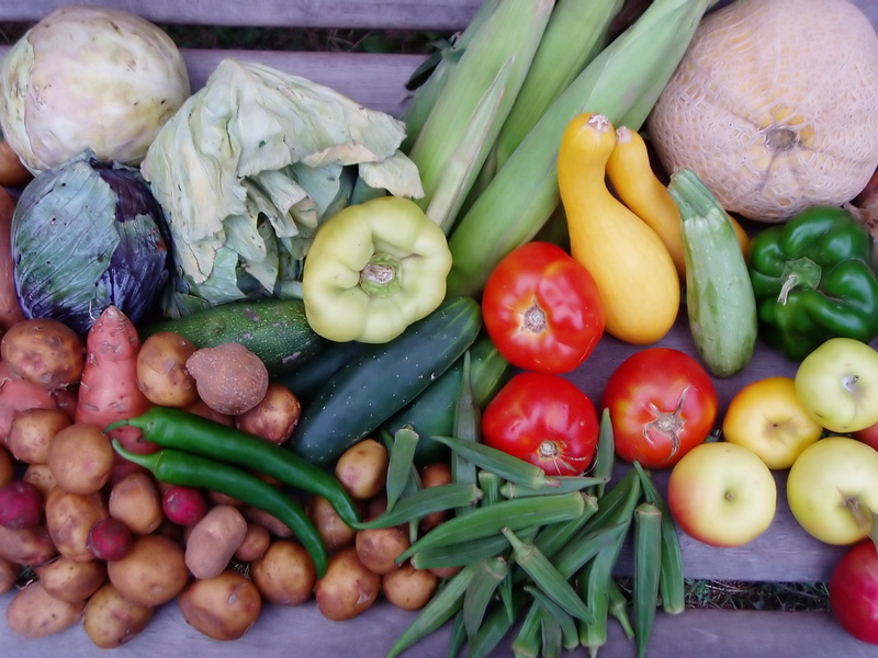 vegetables, pepper, peppers, healthy eating, tomatoes, vegetable, food, organic, assorted, high angle view, abundance, large group of objects, food and drink