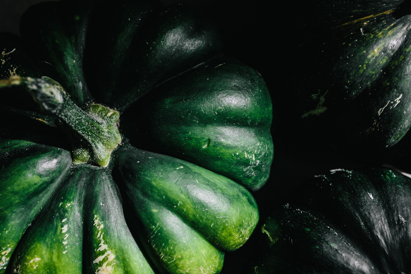 studio shot, freshness, black background, vegetable, cucumber, green color, close-up, indoors, 5K, eggplant, wellbeing, october, food and drink, pumpkin