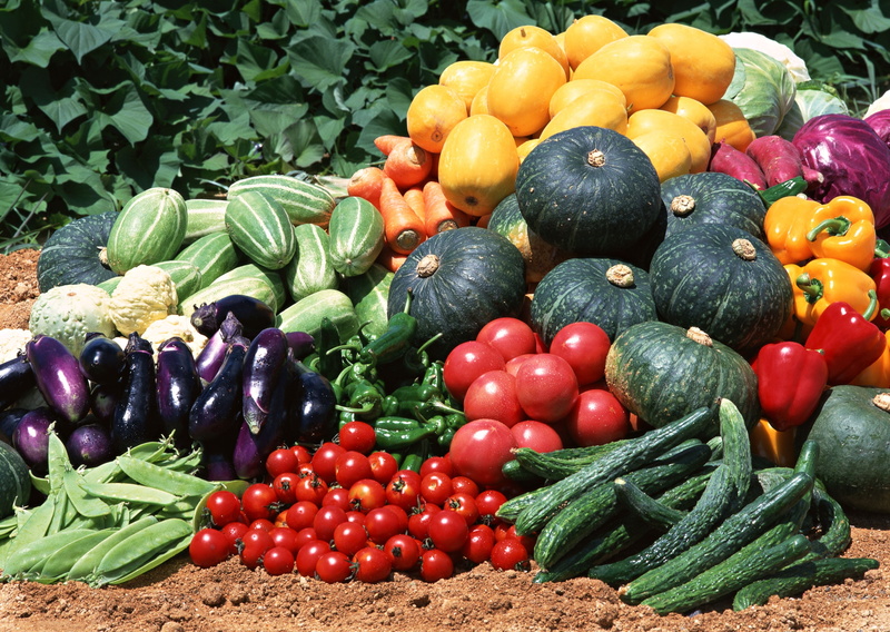 heap, watermelon, melon, vegetables, variation, organic, no People, farm, zucchini, market, squash, assorted, squash - Vegetable, dieting, food And Drink