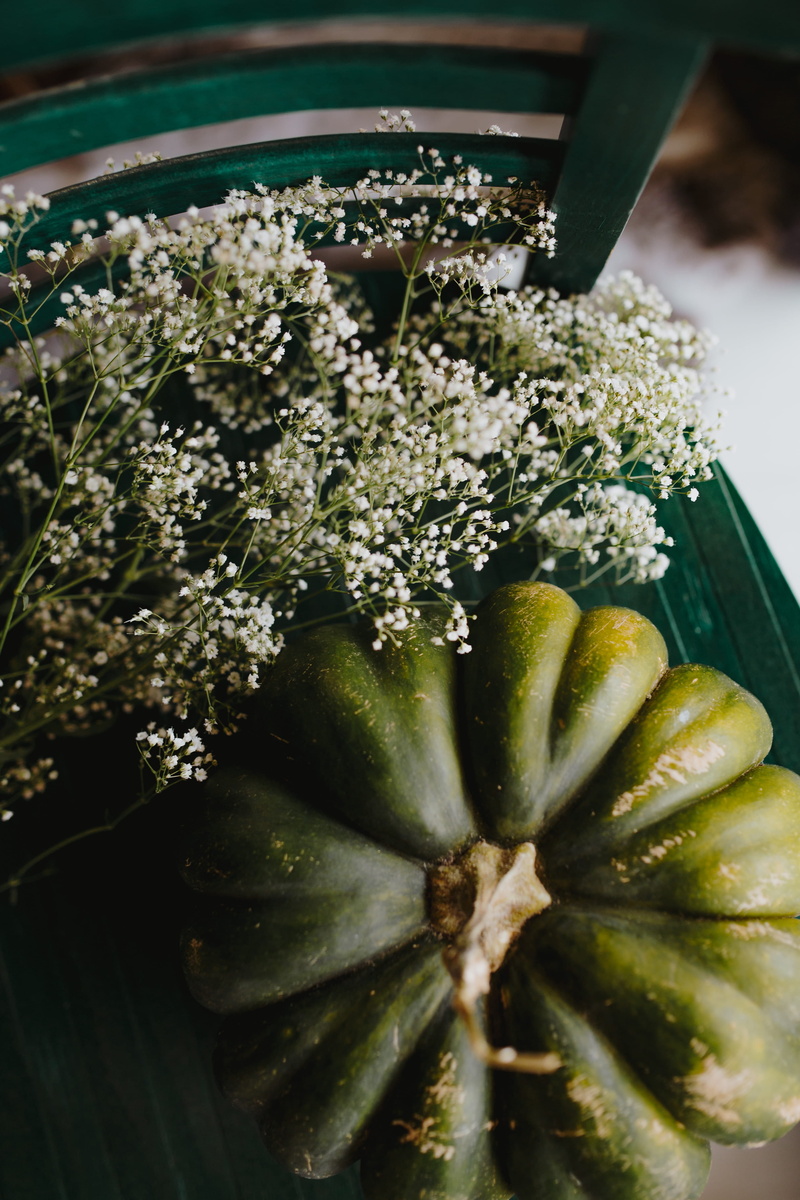 high angle view, view, food, flat lay, pumpkin, broccoli, green color, 4K, flower, temptation, close-up, plant, green, day, zucchini, still life, vegetable