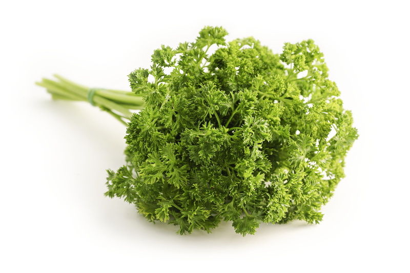 parsley, healthy eating, studio shot, vegetable, ingredient, green color, food, wellbeing, plant, food and drink, raw food, dieting, no people, leaf vegetable