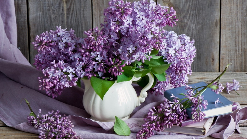 summer, pattern, growth, eggplant, flowers, vase, container, graphic, floral, plant, pink, arrangement, pot, stem, blossom, texture, shape, garden