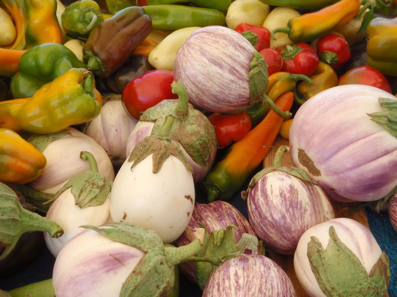 fresh, backgrounds, feed, abundance, healthy eating, yellow, eating, eggplant, vegetarian, taste, gardening, hot, eggplants, close-up, objects, raw food
