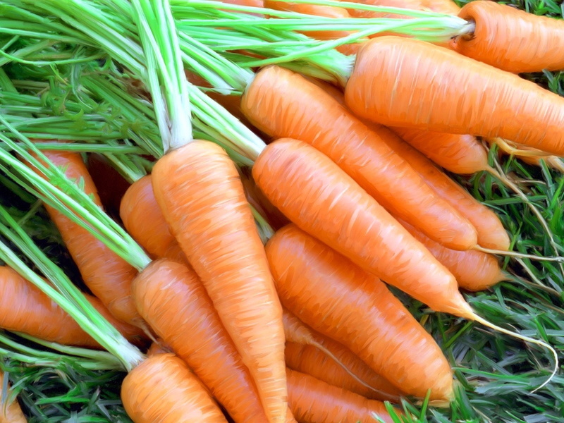 vegetarian Food, large group of objects, farm, group of Objects, ripe, green Color, freshness, lot, plant, multi Colored, heap, crop, red, market, food And Drink