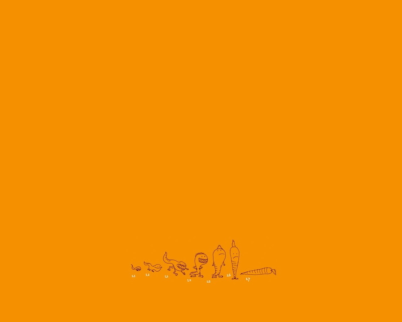 evolution, carrots, 720P